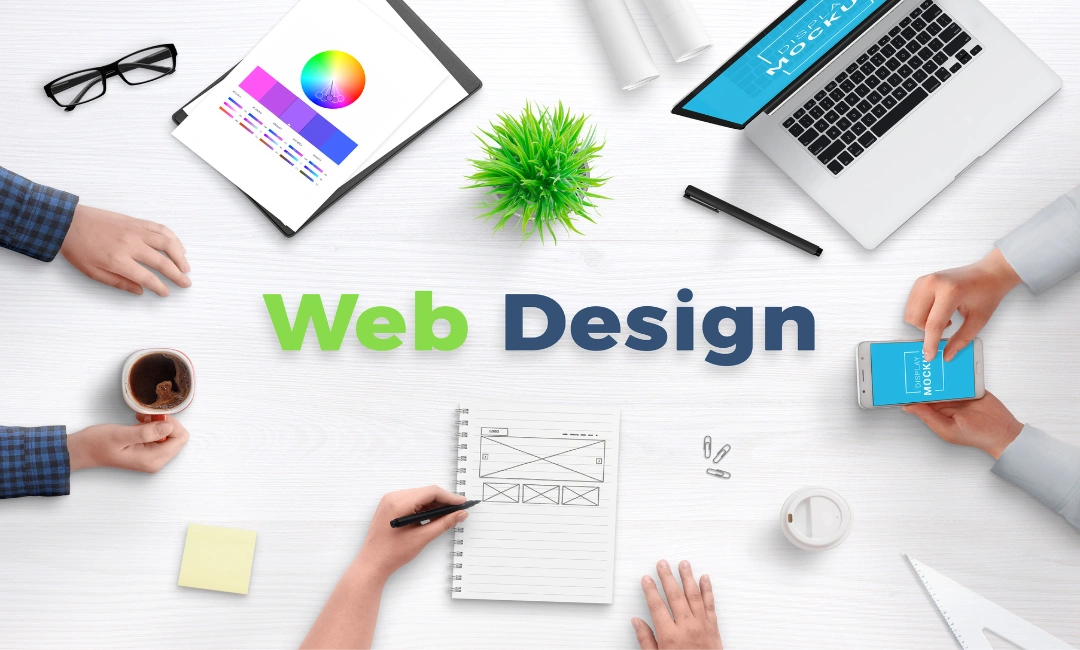 Professional Web Design Service in Vadodara